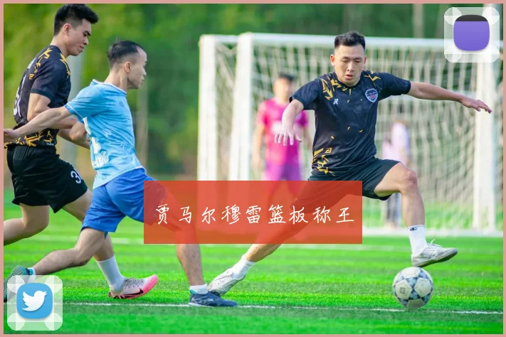 贾马尔穆雷篮板称王