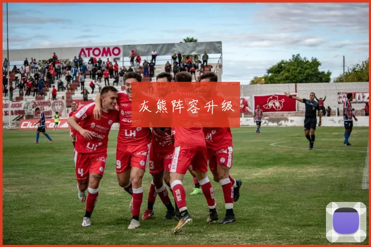 灰熊阵容升级