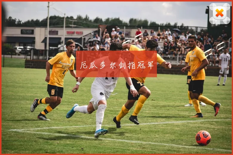 厄瓜多尔剑指冠军