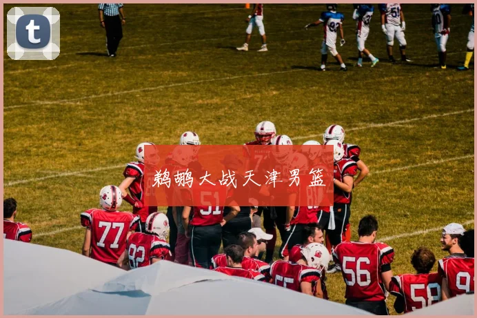 鹈鹕大战天津男篮