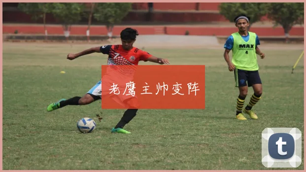 老鹰主帅变阵