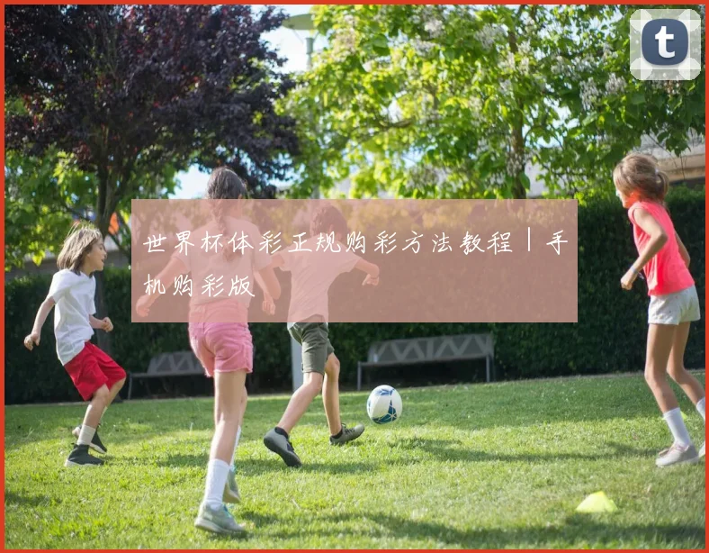 世界杯体彩正规购彩方法教程｜手机购彩版