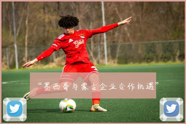 “墨西哥与蒙古企业合作机遇”