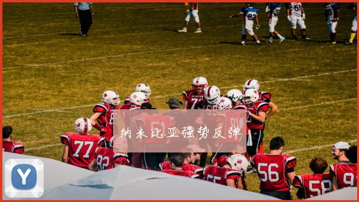 纳米比亚强势反弹