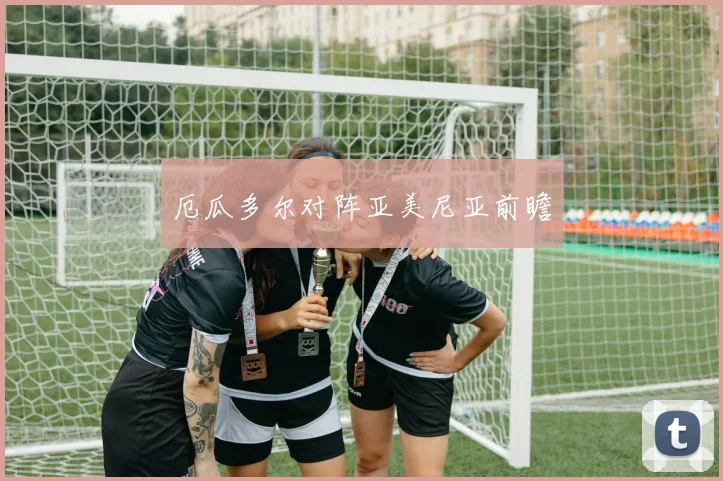 厄瓜多尔对阵亚美尼亚前瞻