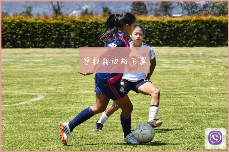 萨拉赫边路飞翼