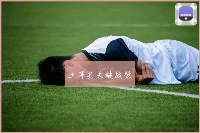 土耳其关键战役