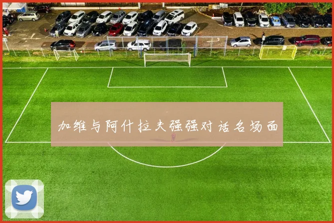 加维与阿什拉夫强强对话名场面
