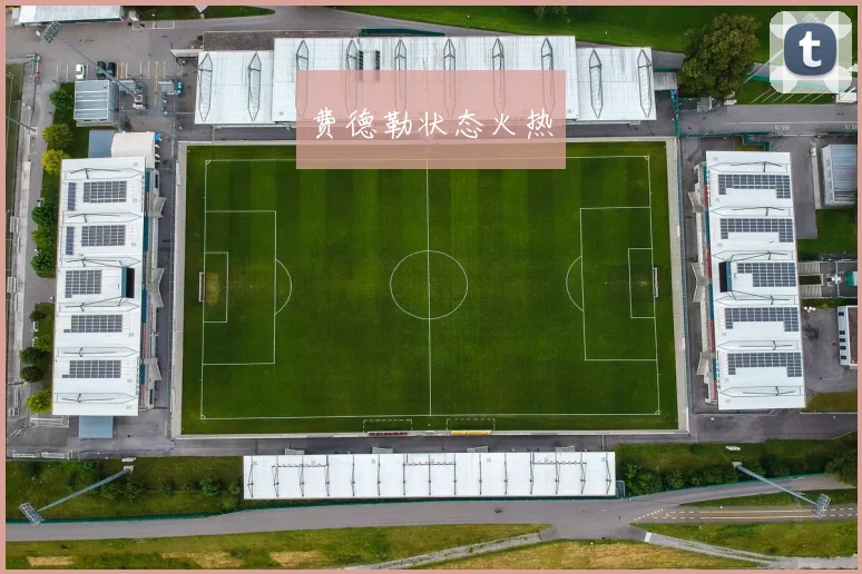 费德勒状态火热