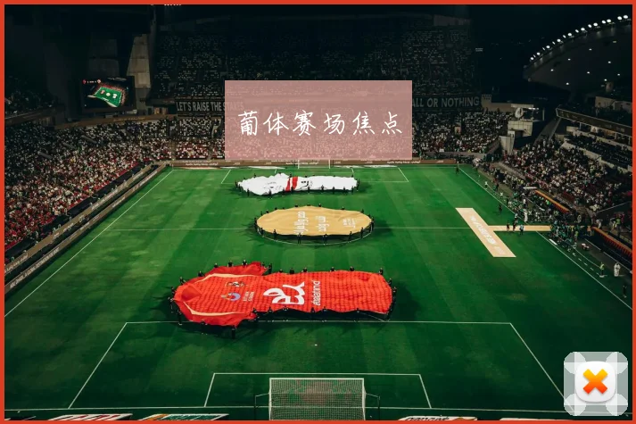 葡体赛场焦点