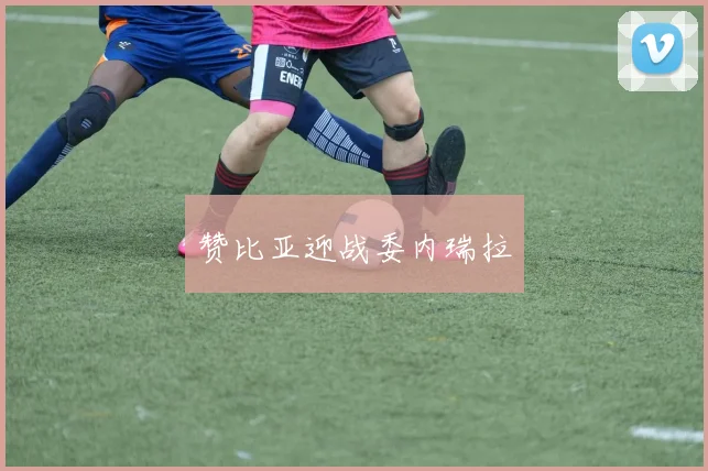 赞比亚迎战委内瑞拉