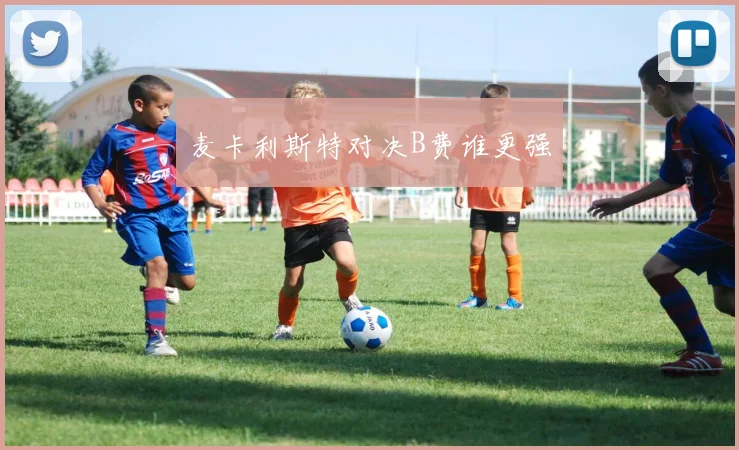 麦卡利斯特对决B费谁更强