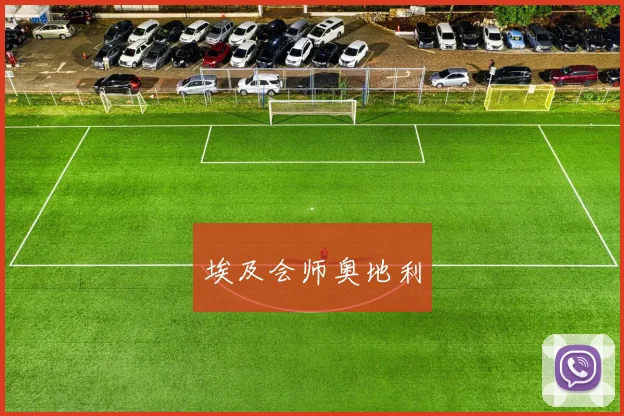 埃及会师奥地利