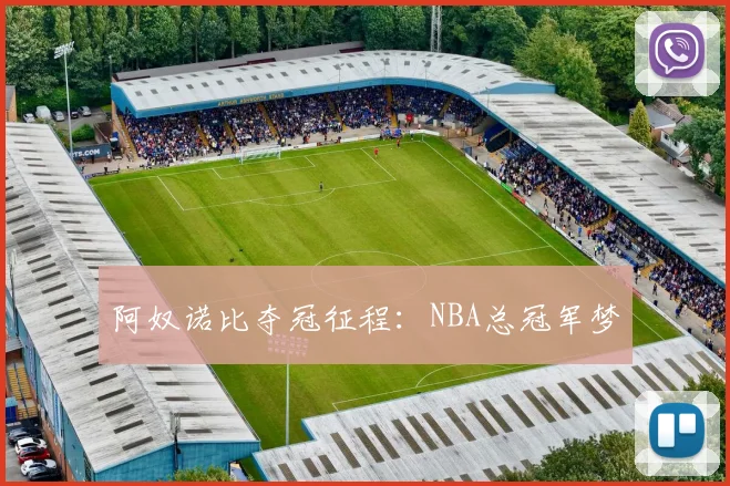 阿奴诺比夺冠征程：NBA总冠军梦