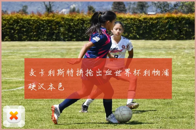 麦卡利斯特拼抢出血世界杯利物浦硬汉本色