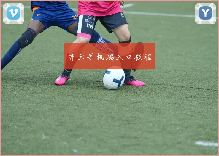开云手机端入口教程