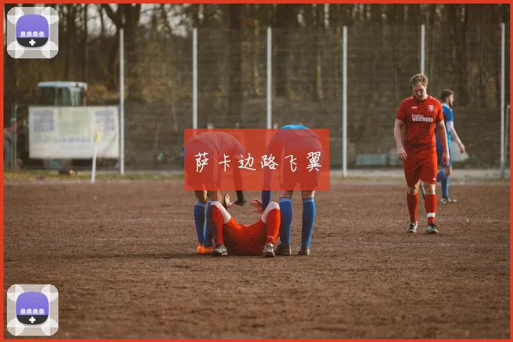 萨卡边路飞翼