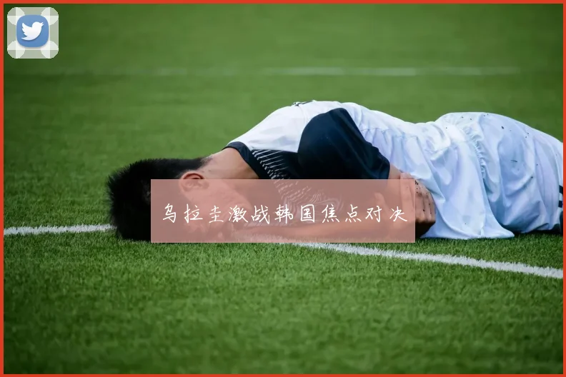 乌拉圭激战韩国焦点对决