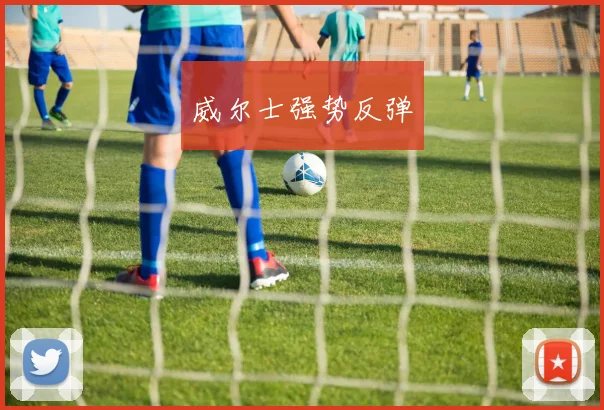 威尔士强势反弹