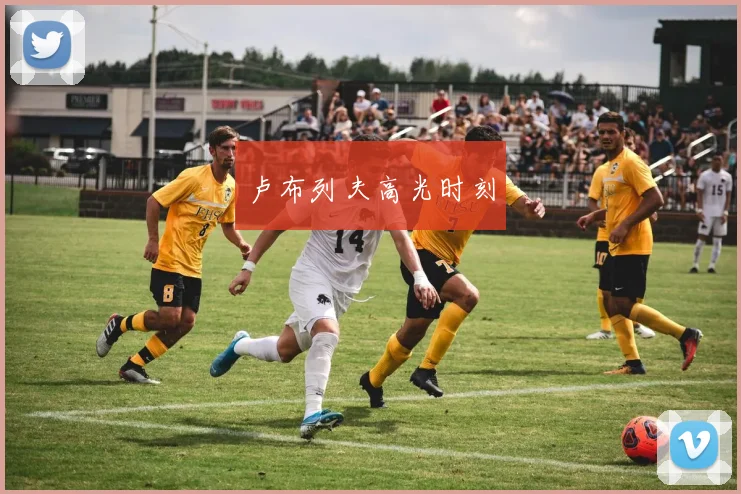 卢布列夫高光时刻