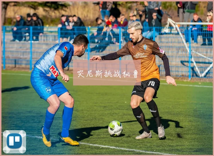 突尼斯挑战秘鲁
