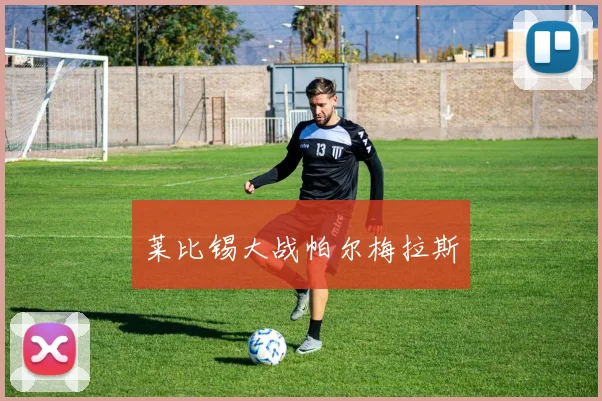 莱比锡大战帕尔梅拉斯