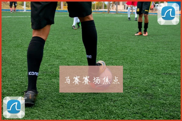 马赛赛场焦点