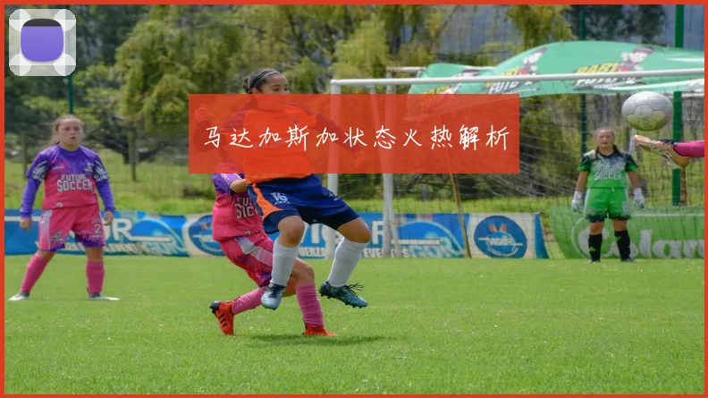 马达加斯加状态火热解析