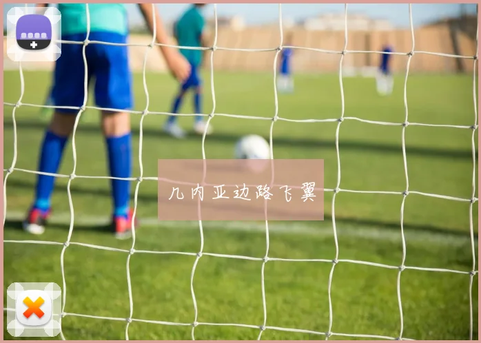 几内亚边路飞翼