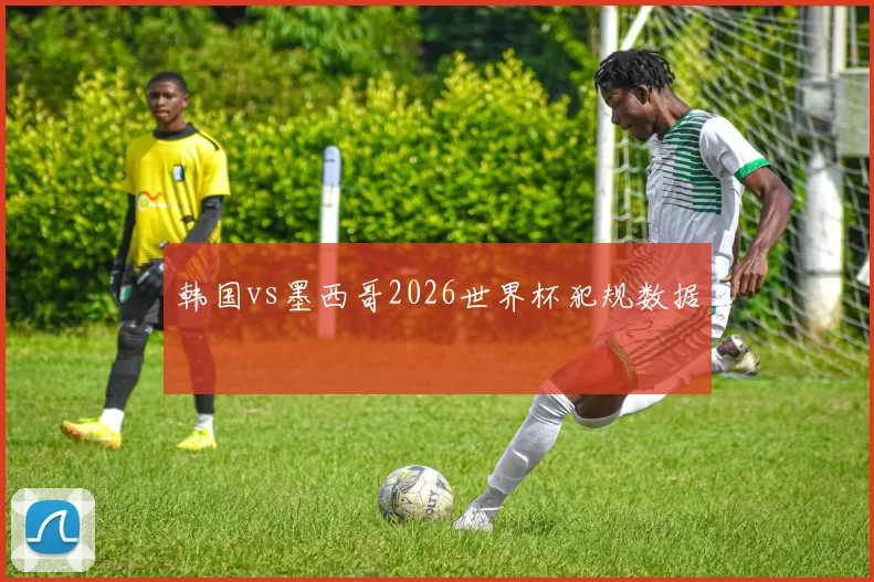 韩国vs墨西哥2026世界杯犯规数据