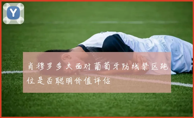 肖穆罗多夫面对葡萄牙防线禁区跑位是否聪明价值评估