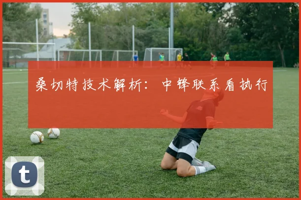 桑切特技术解析:中锋联系看执行