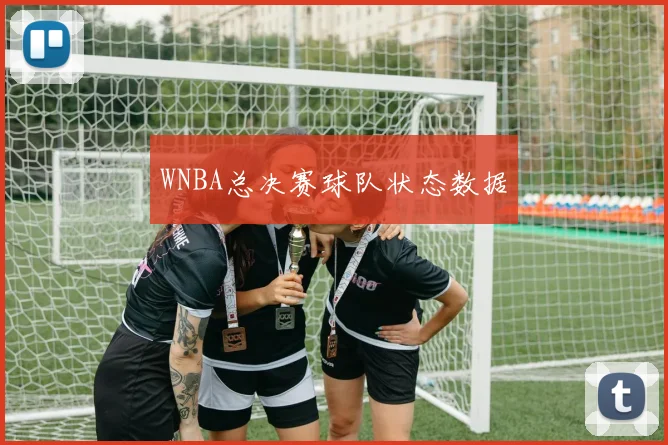 WNBA总决赛球队状态数据