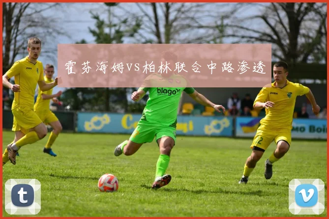 霍芬海姆vs柏林联合中路渗透